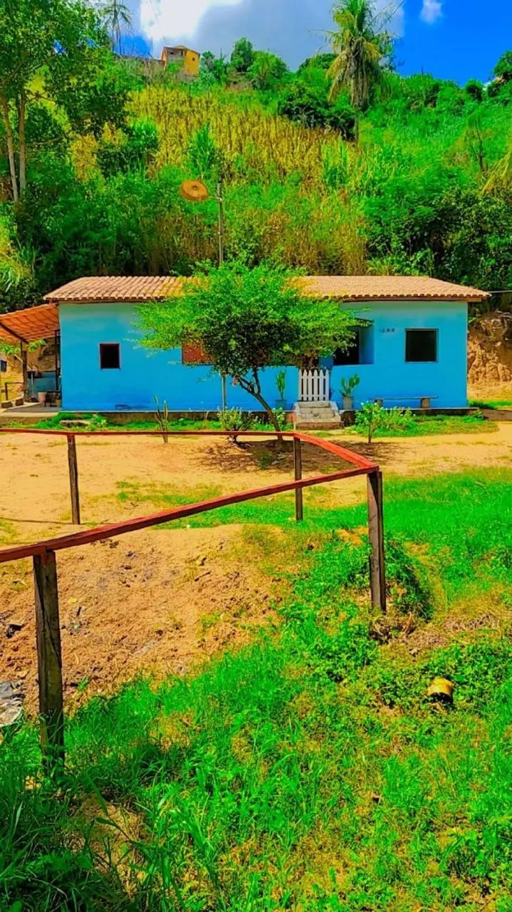 Sítio dos Sonhos em Nanuque Minas - Um Investimento com Segurança e Conforto!**  promoção  - Foto 5