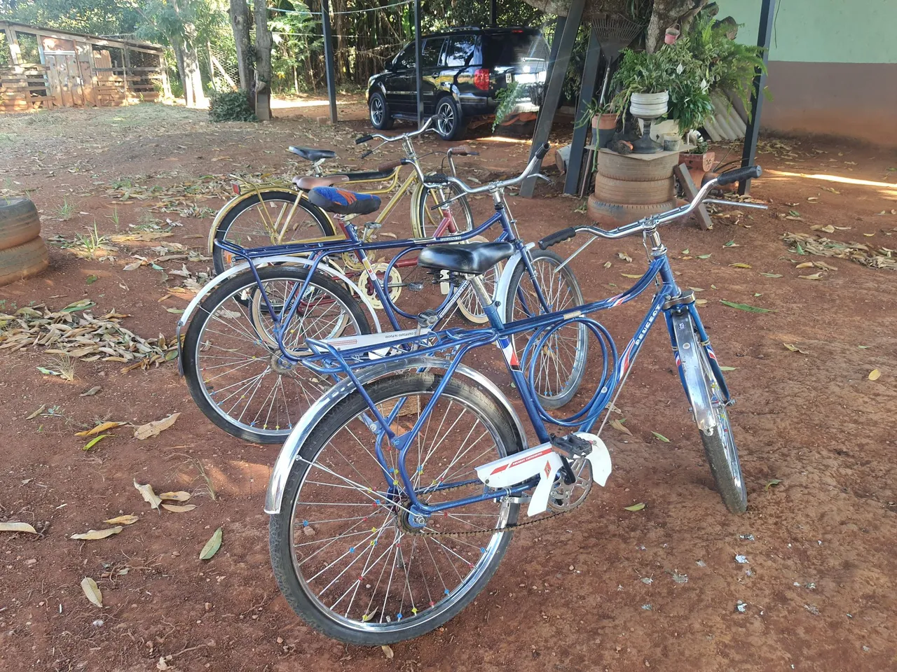Bicicletas Antigas - Colecionador