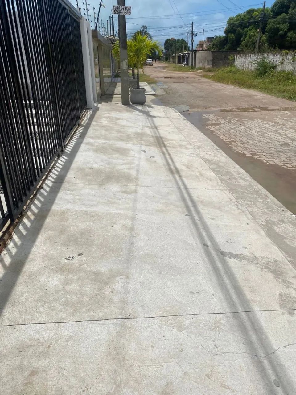 Foto - Paulista - Janga