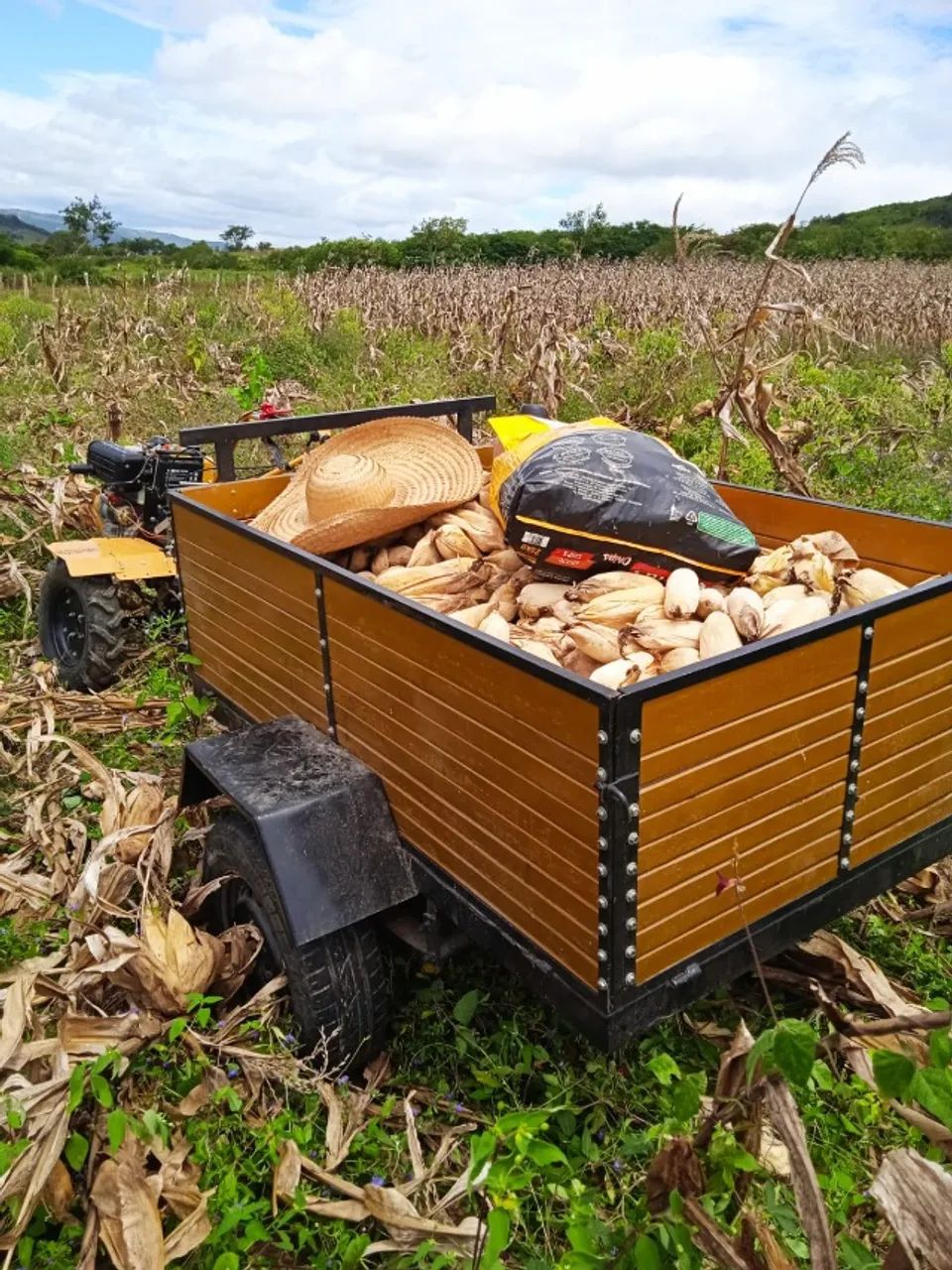 Tratorito Buffalo 10 HP - Diesel Com Carroça - Foto 3