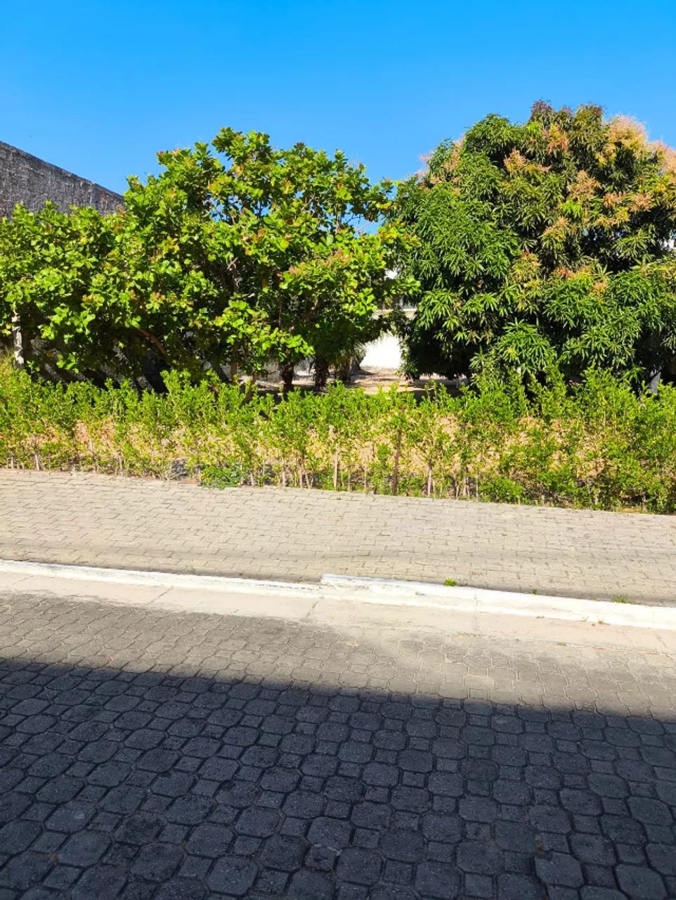 Terreno no condomínio Vivenda dos Ramalhetes com 422m²  - Foto 2