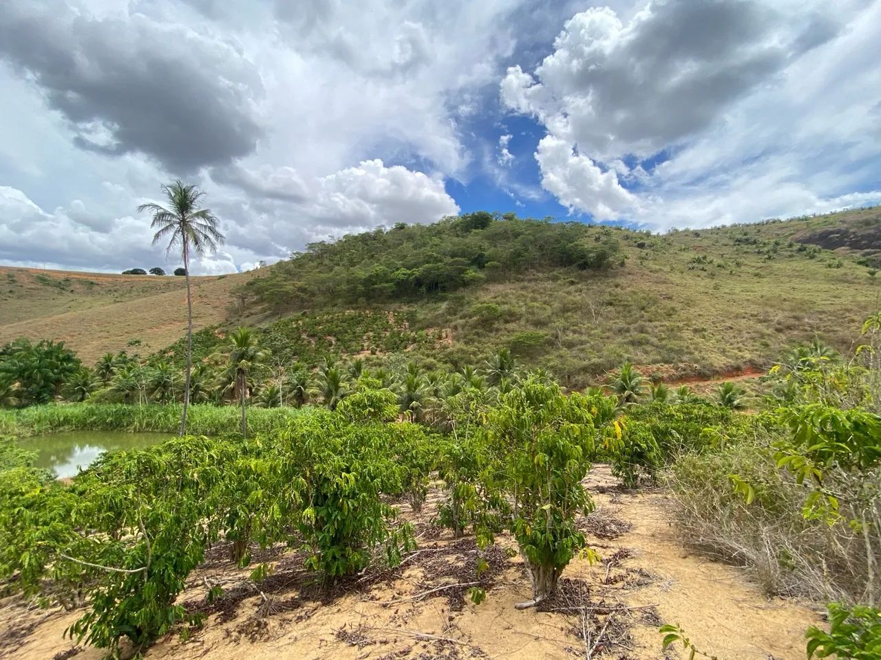 Terreno com com 2 tanques de peixe - Foto 7