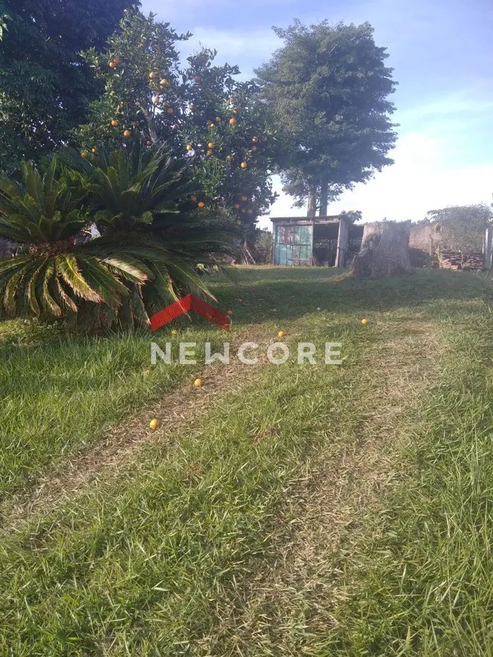 Lote em Rua Ceará - São Jacó - Sapiranga/RS - Foto 4