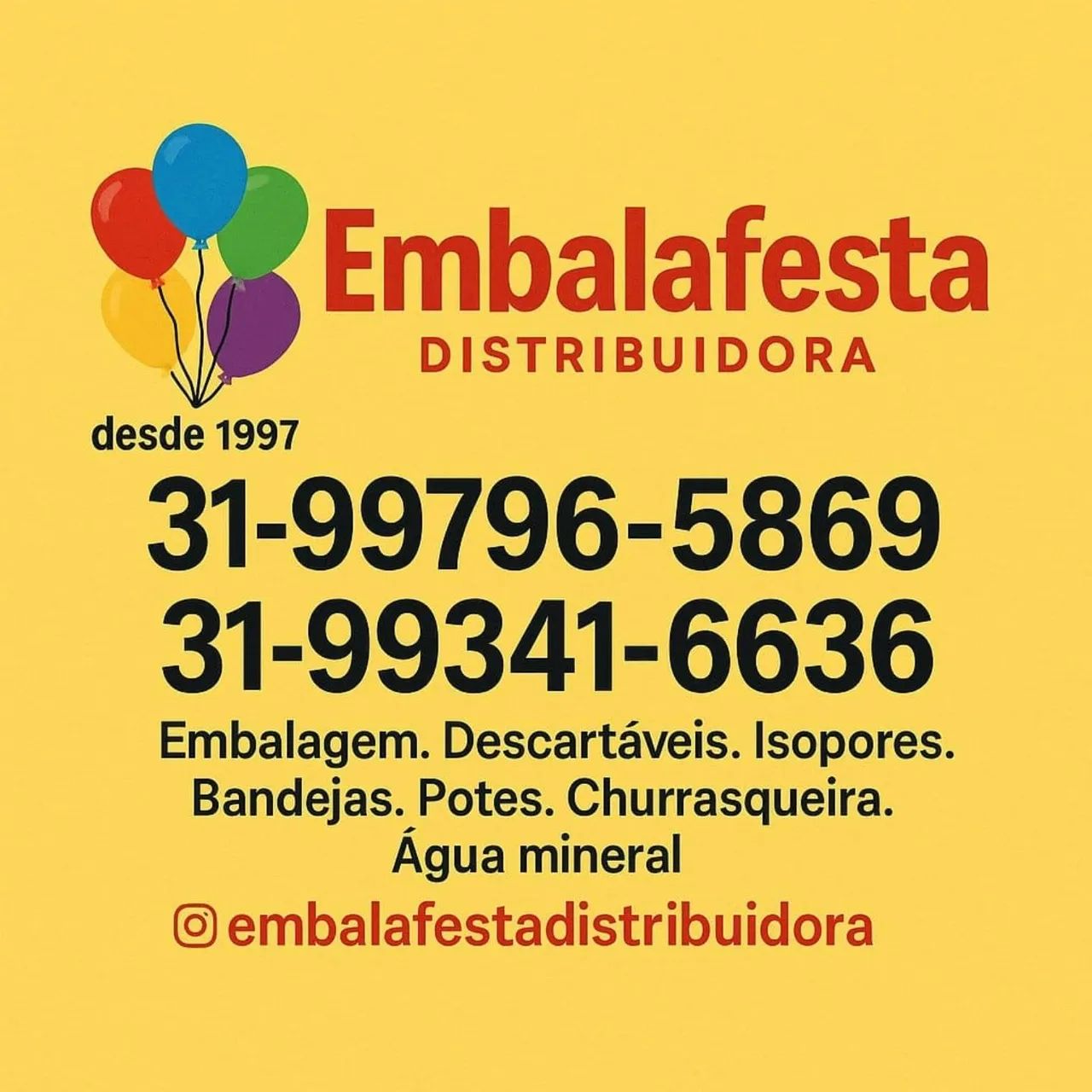 Churrasqueiras vários modelos! As férias, feriados, verão, carnaval etc. Isopor temos! - Foto 2