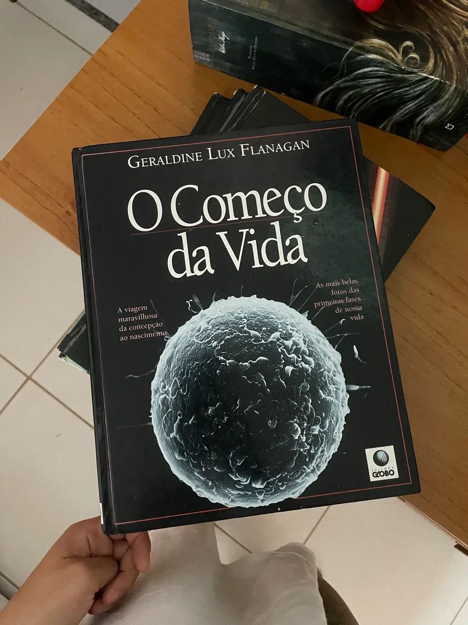 O começo da vida