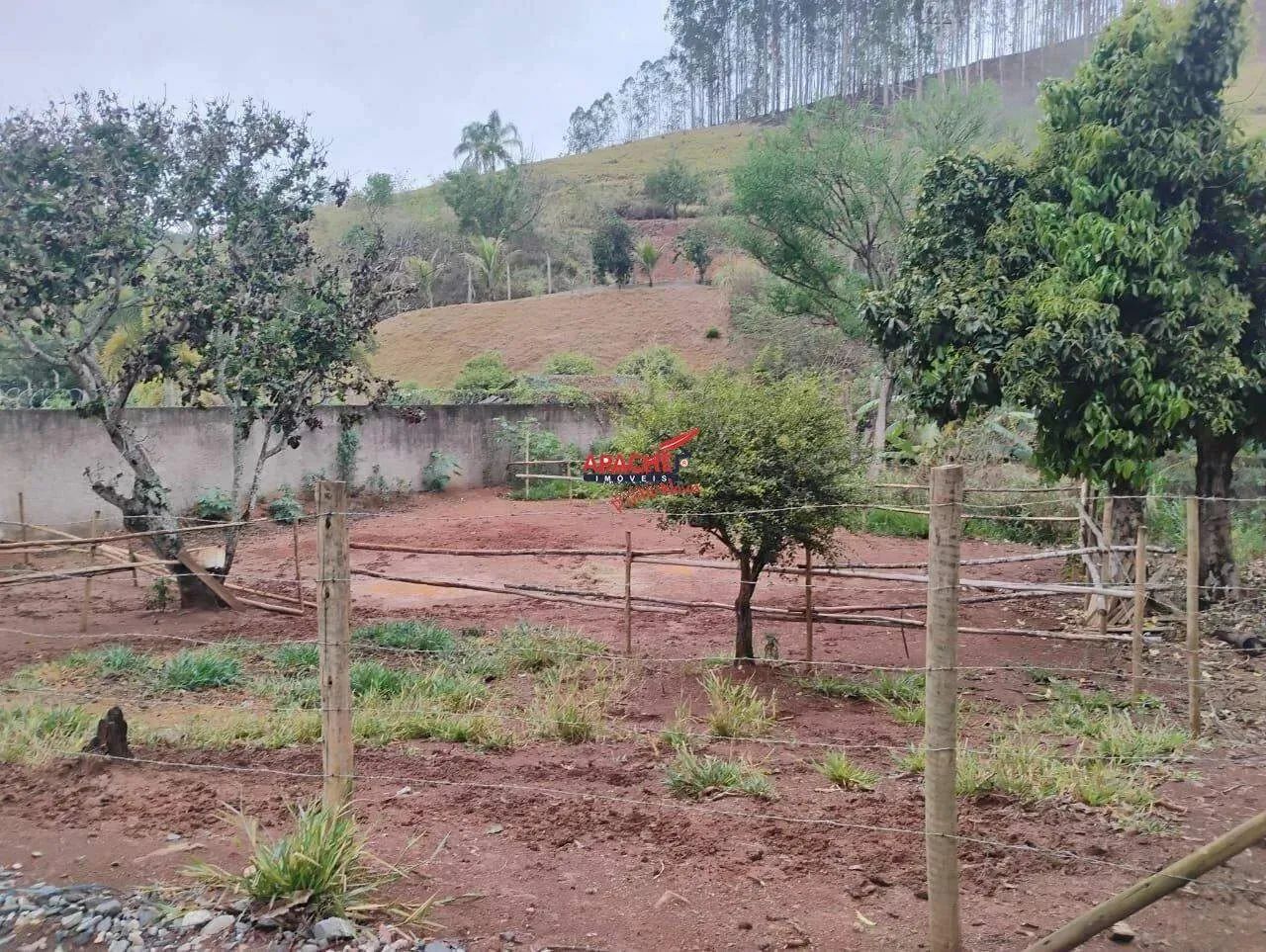 Chácara à venda, ZONA RURAL - Ponte Nova/MG - Foto 5