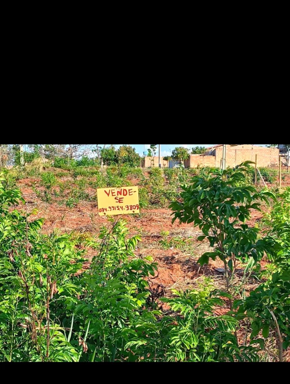 Prata-MG Terreno | Bairro Progresso  - Foto 5