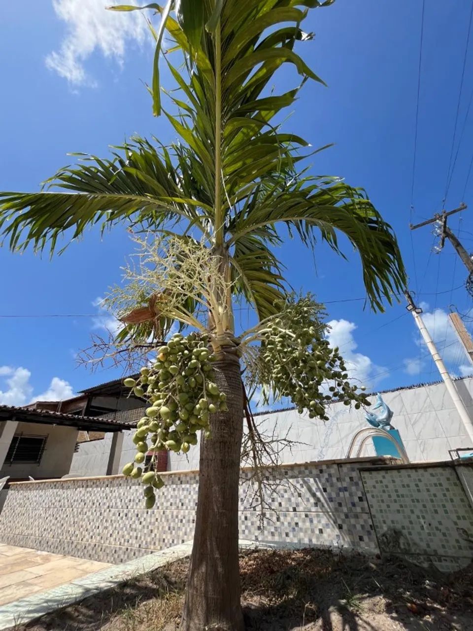 ALUGO - CASA NA ILHA - PILAR - ILHA DE ITAMARACÁ