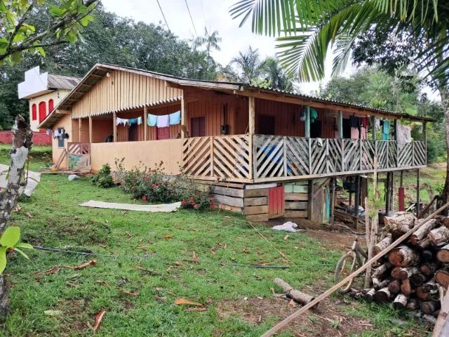 Sitio com Crianção de tambaqui e hortaliças  - Foto 5