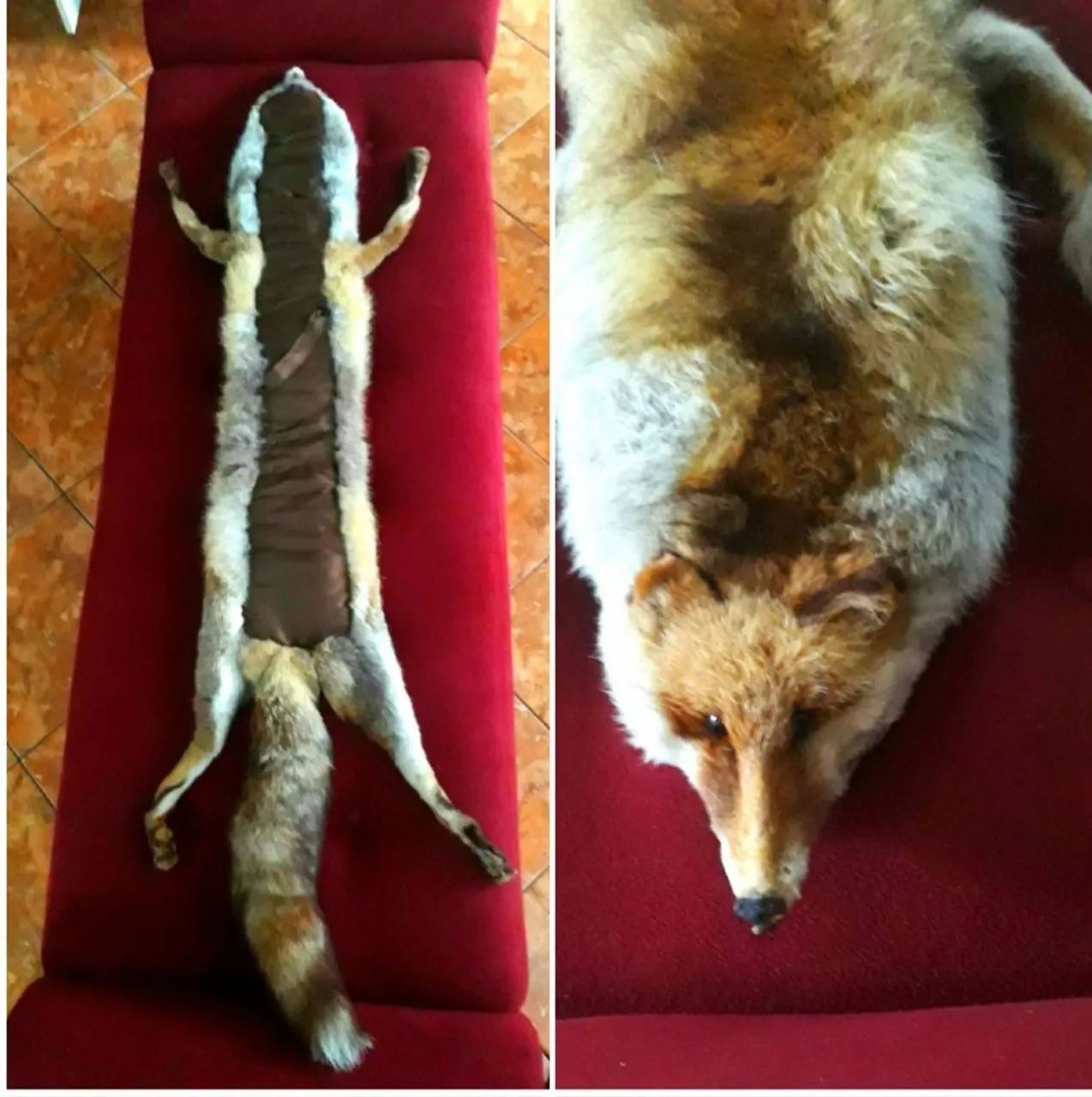 Estola de pele - Foto 2