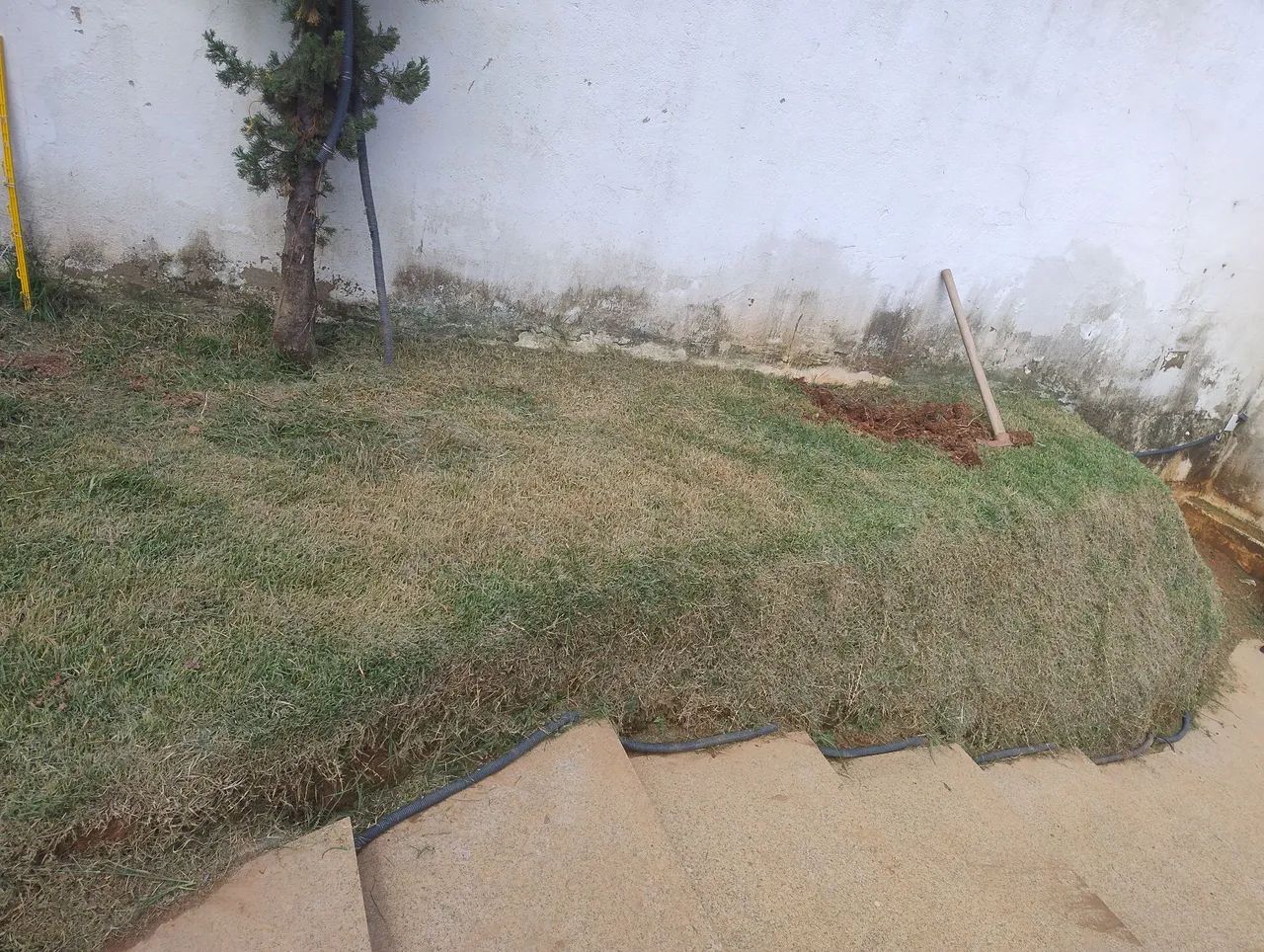 Serviço de jardinagem  - Foto 5