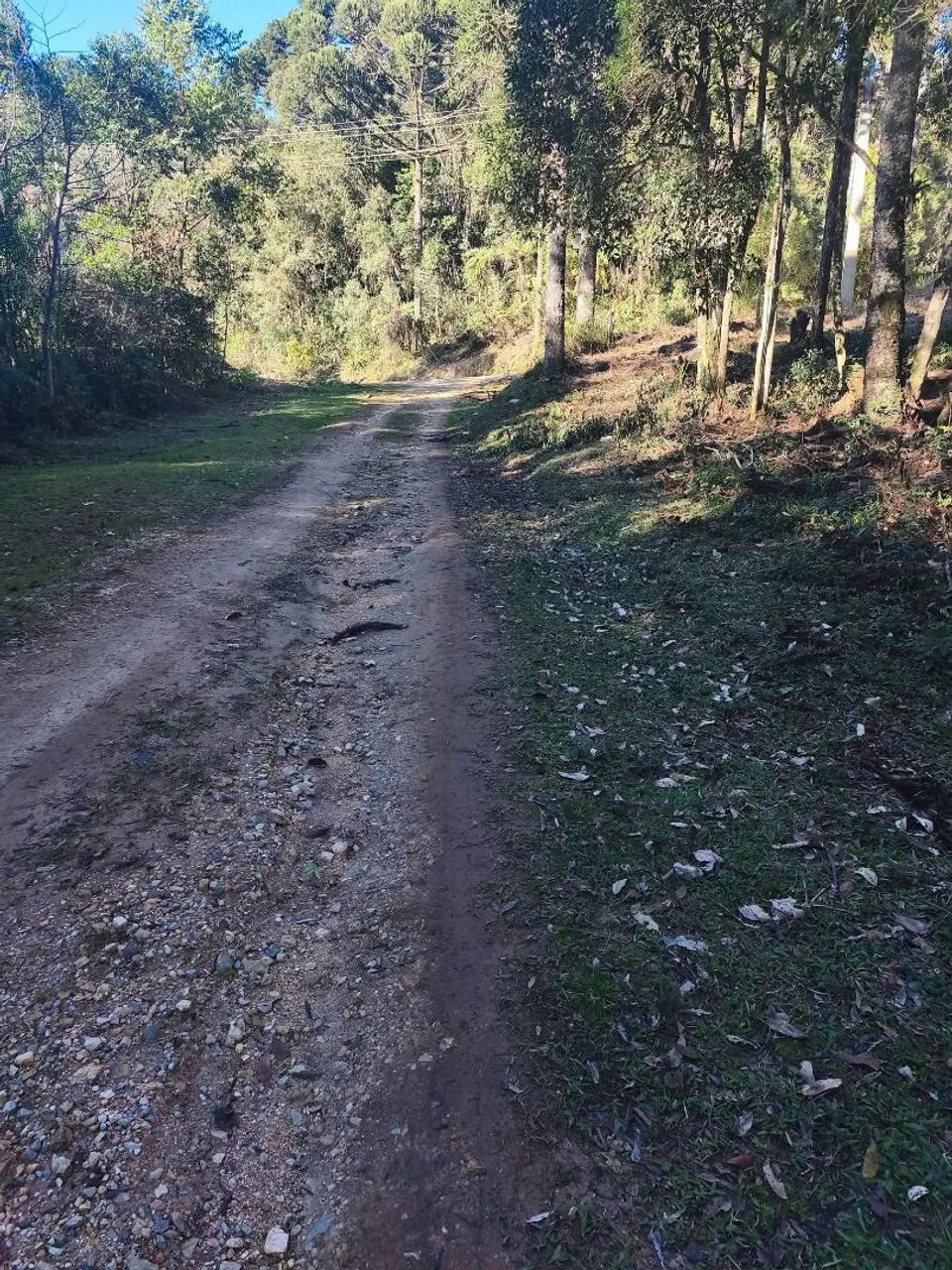 Vendo terreno para formar chácara  - Foto 3