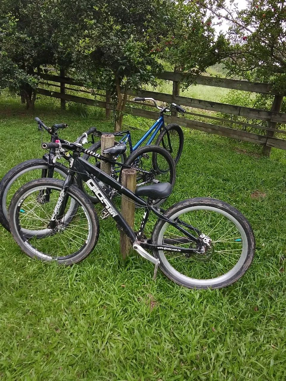 Gios - Foto 2