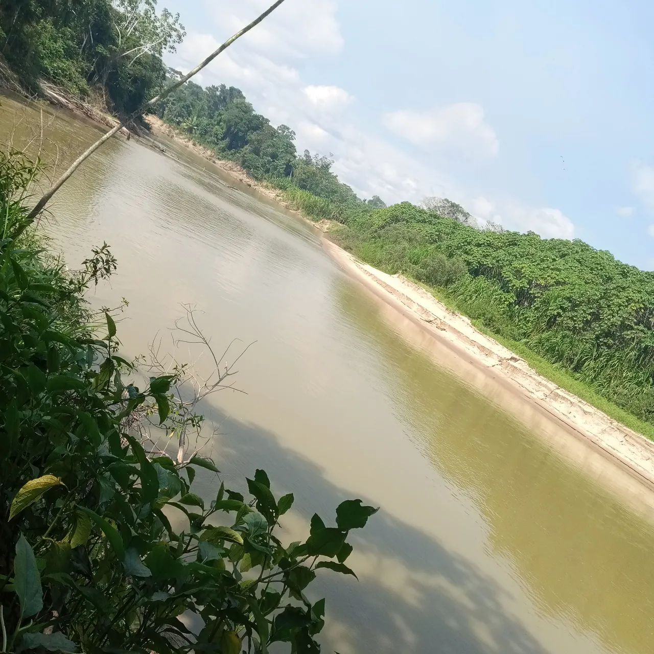 Vendo terra preservada 