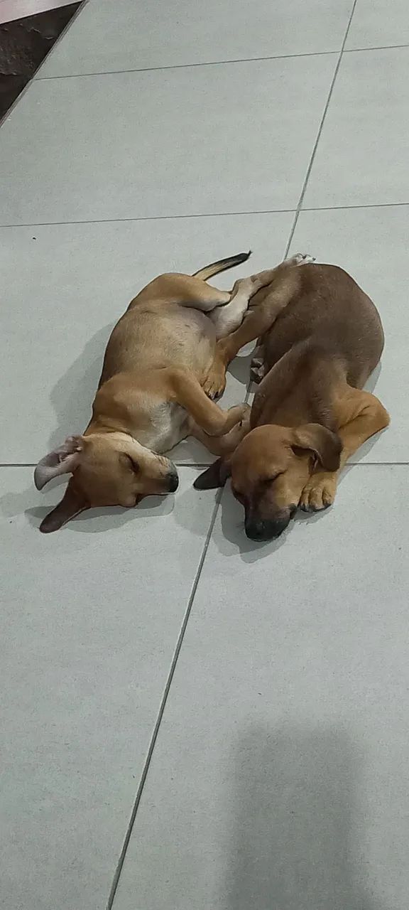 Doa-se