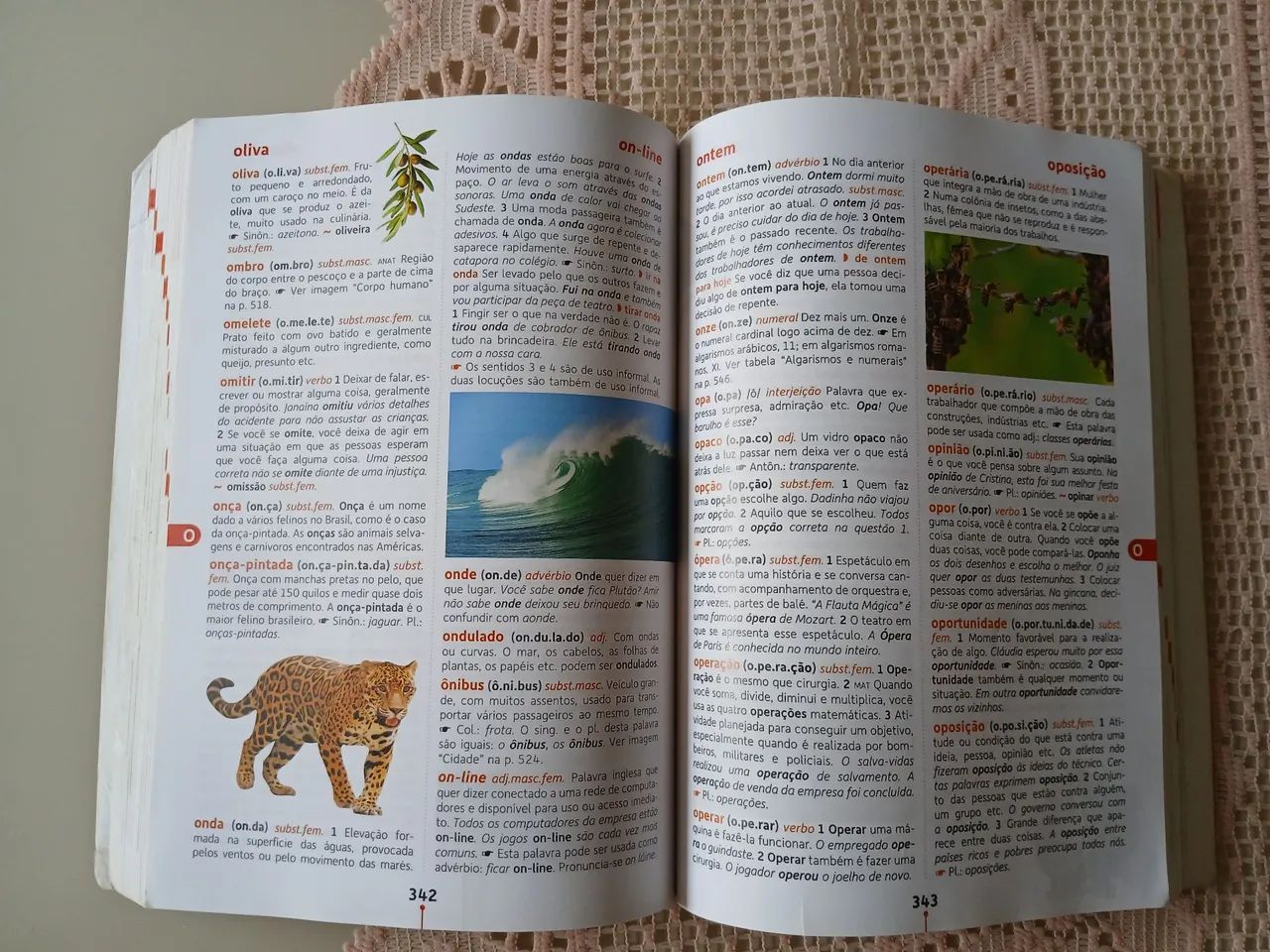 Dicionário Houais Ilustrado - Foto 2