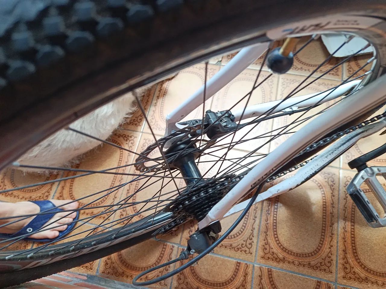 Bicicleta  - Foto 2