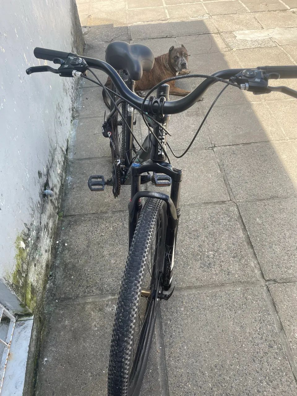 Bicicleta Venzo