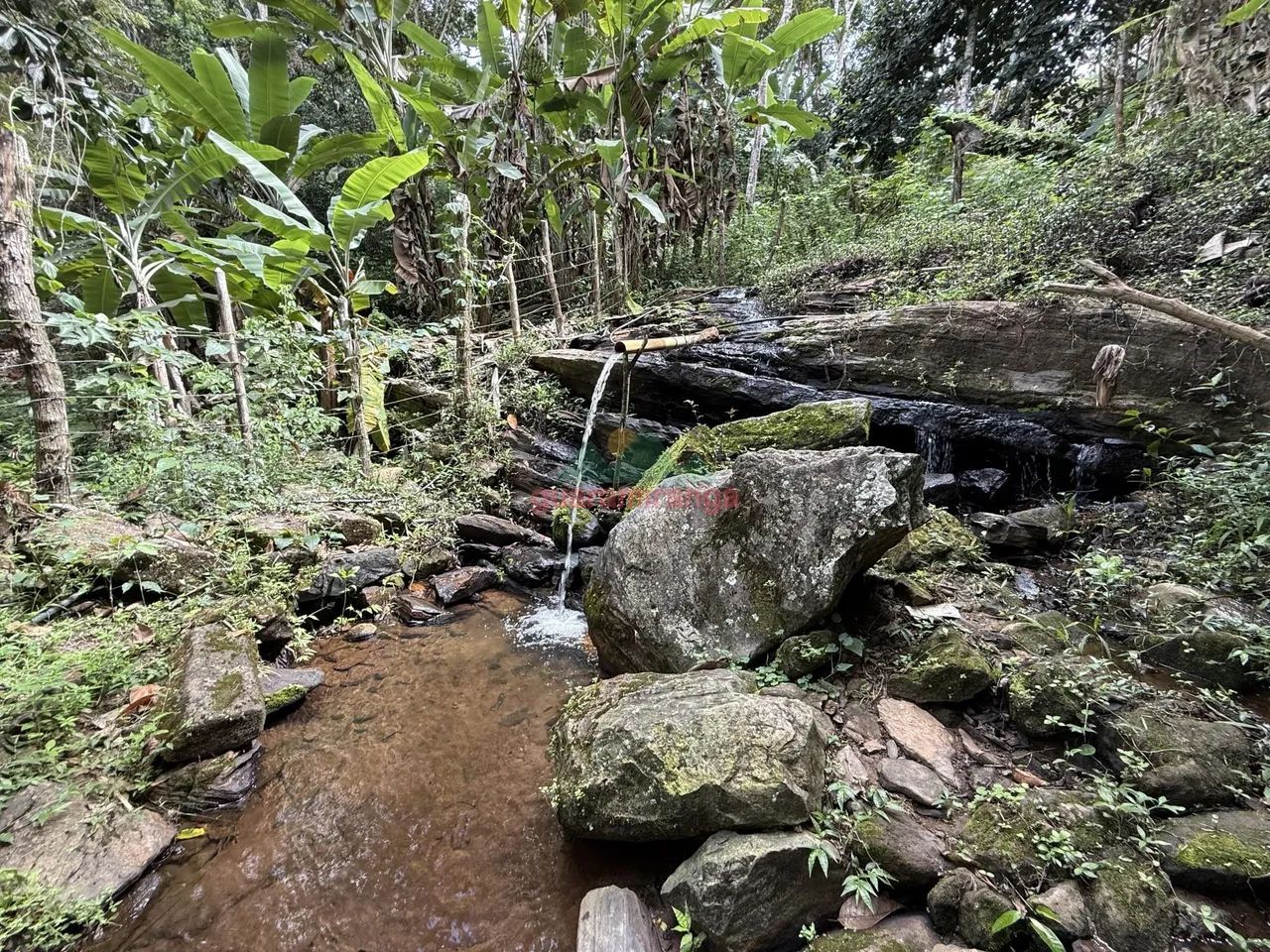 Sitio de 3 HA com uma nascente e muitas fruteiras. - Foto 2