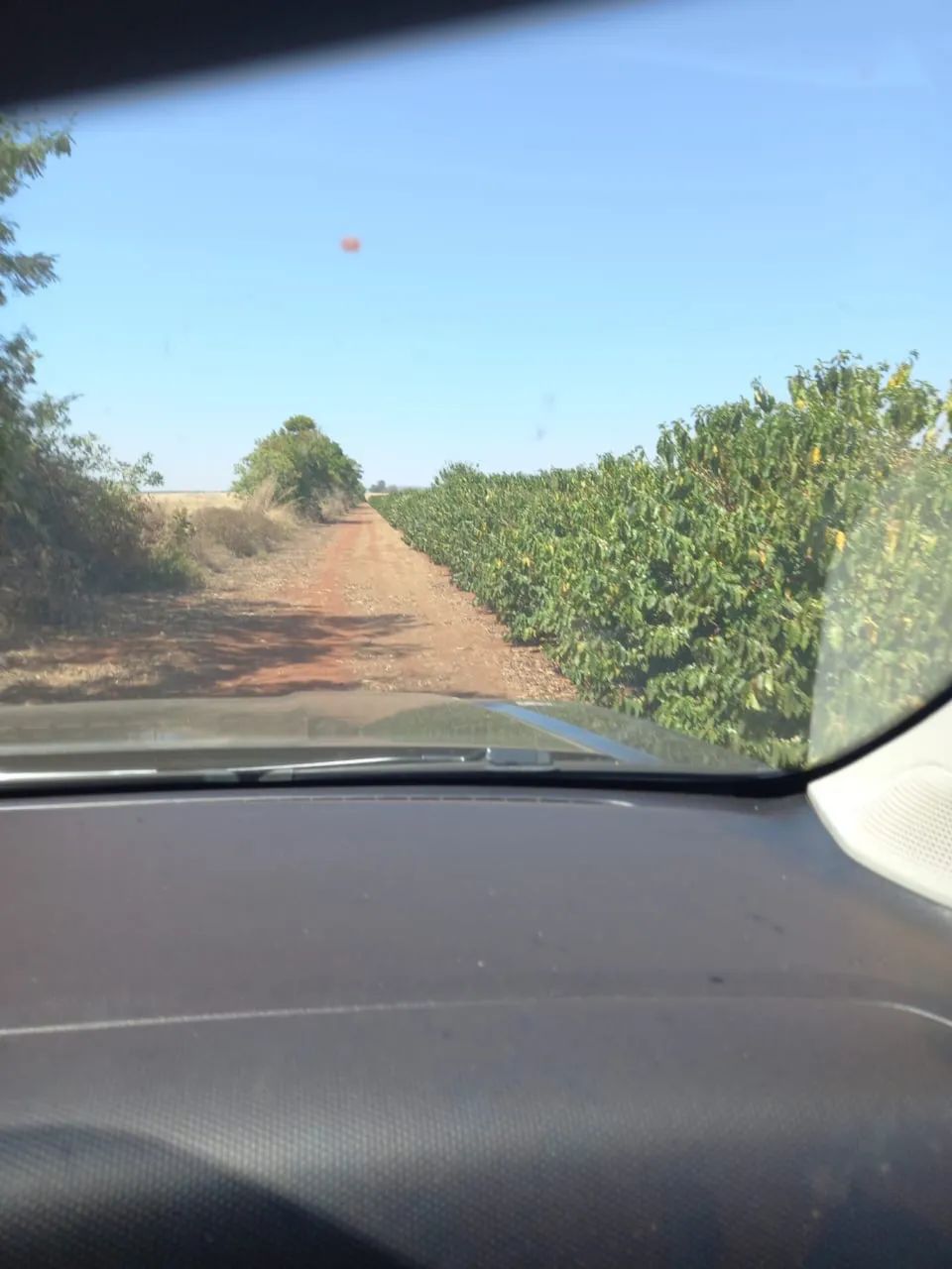 Fazenda de café a venda próximo a coromadel  - Foto 4