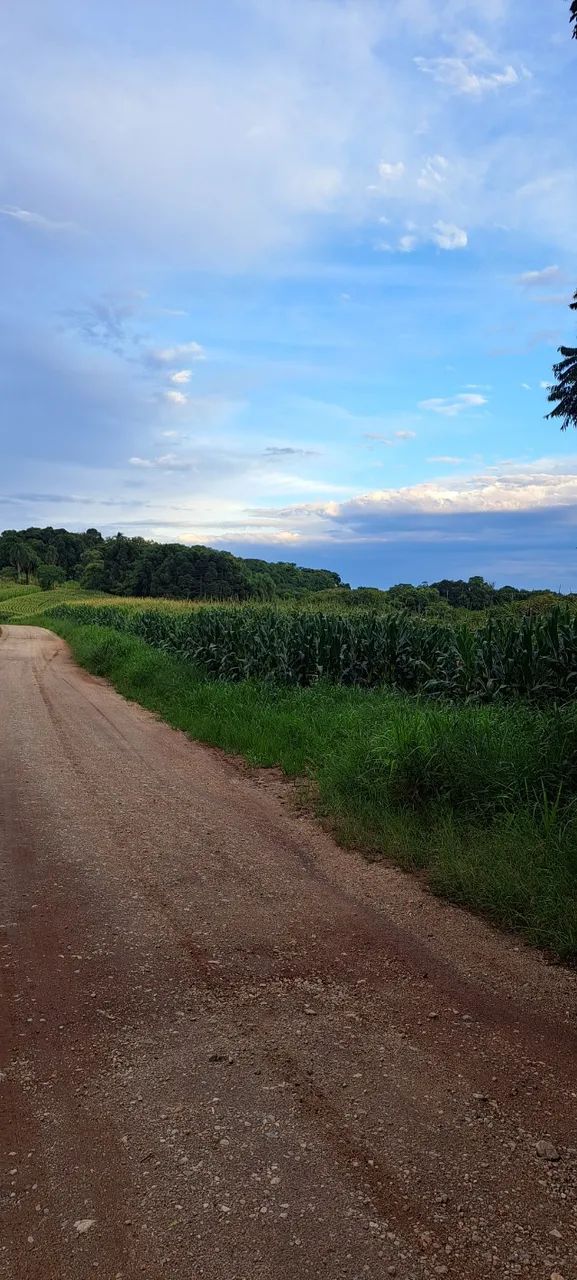 Área Rural 93.000 m² em Balsa Nova - Rodeio Chapada | Nascente e Riacho - Foto 4