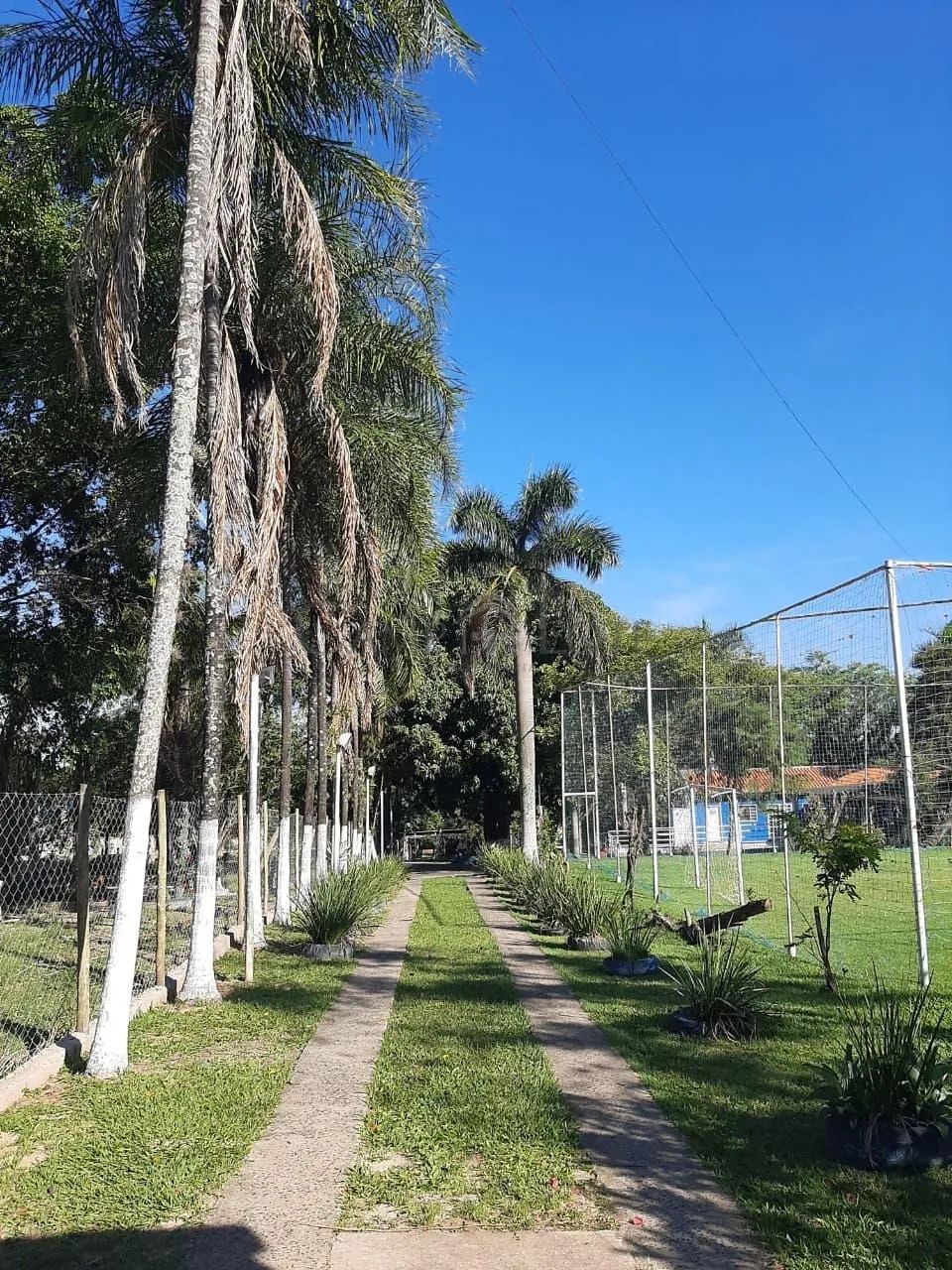 chácara - Centro - Nova Odessa - Foto 5