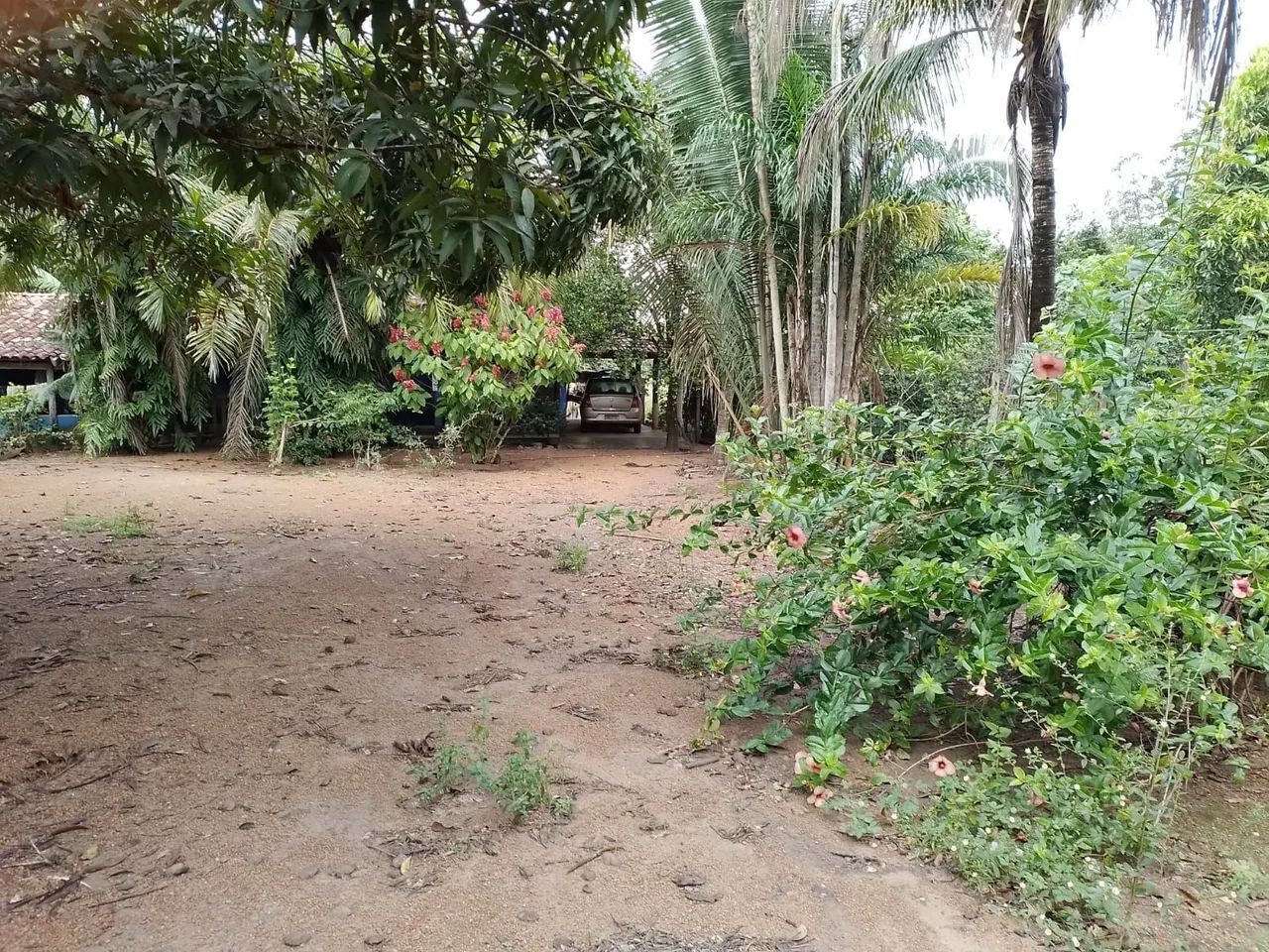 Sítio em Caseara Tocantins  - Foto 4