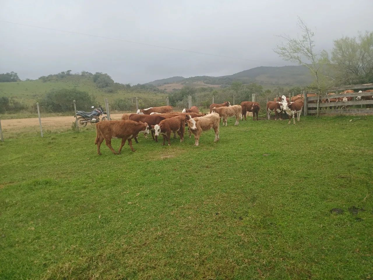 Vendo - Foto 2