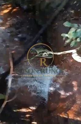 Terreno de 4 hectares em Santa Teresa - E.S. - Foto 5