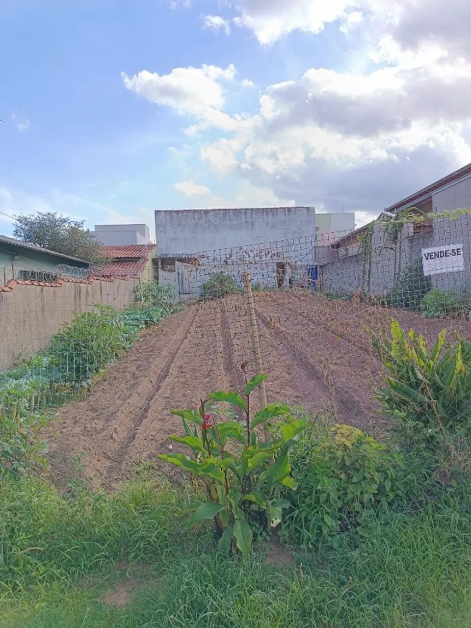 Foto - Jaguariúna - Jardim Dona Irma