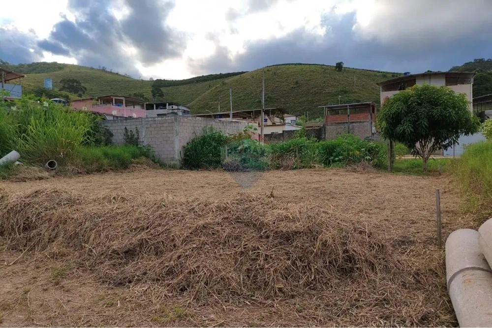 Terreno - Caiana/MG - Foto 3
