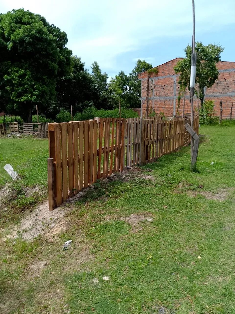 Foto - Dias DÁvila - 