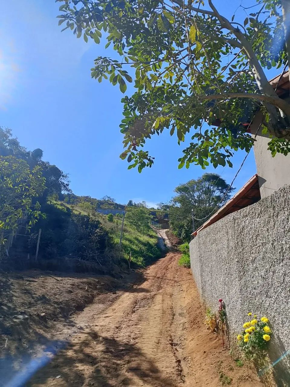 terreno a 900m da br - Foto 3