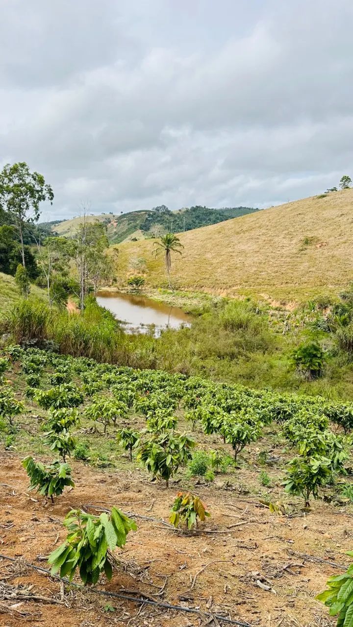 Terra Córrego Do Indaia - Foto 5