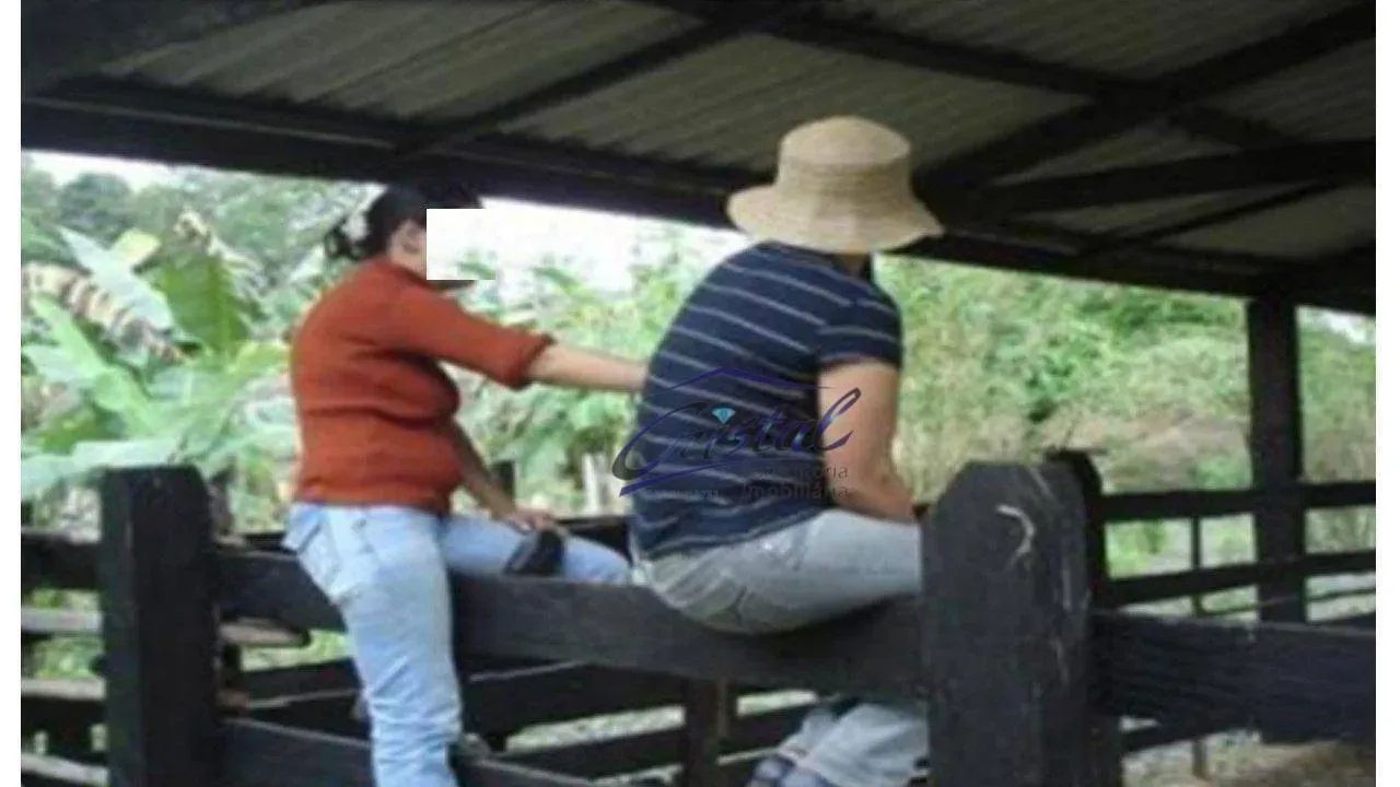 Excelente Sítio em Juquiá! - Foto 3