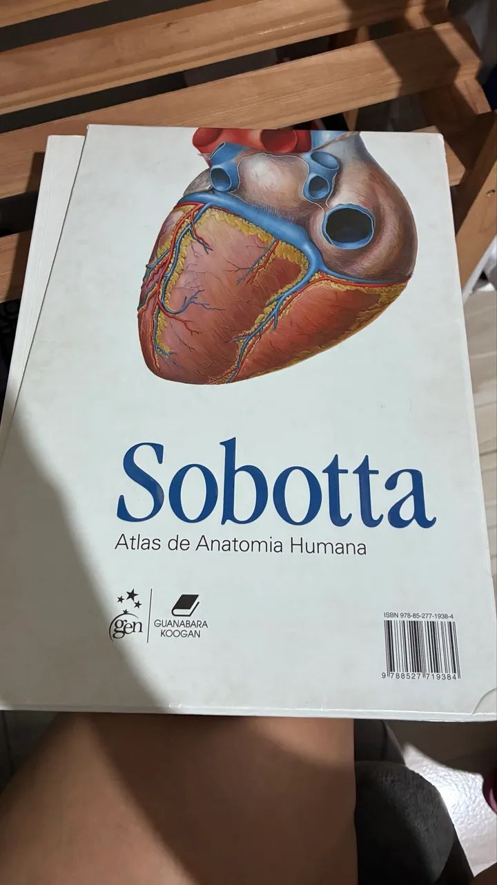 Sobotta  - Foto 2
