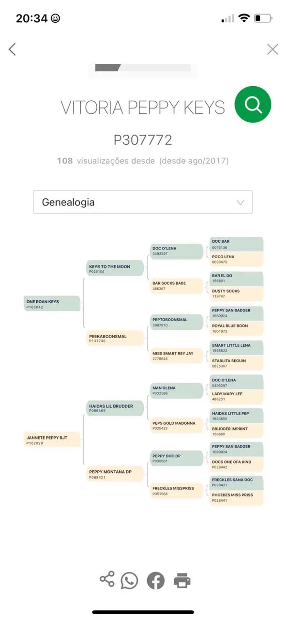 Égua documentada ( só pra reprodução) - Foto 2