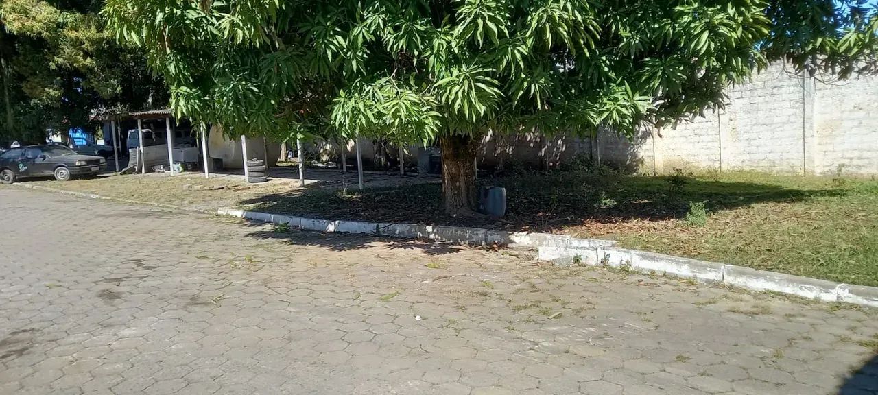 AREA DUTRA - LORENA - 4000 M2 - PROX DIVISA RIO DE JANEIRO - Foto 5