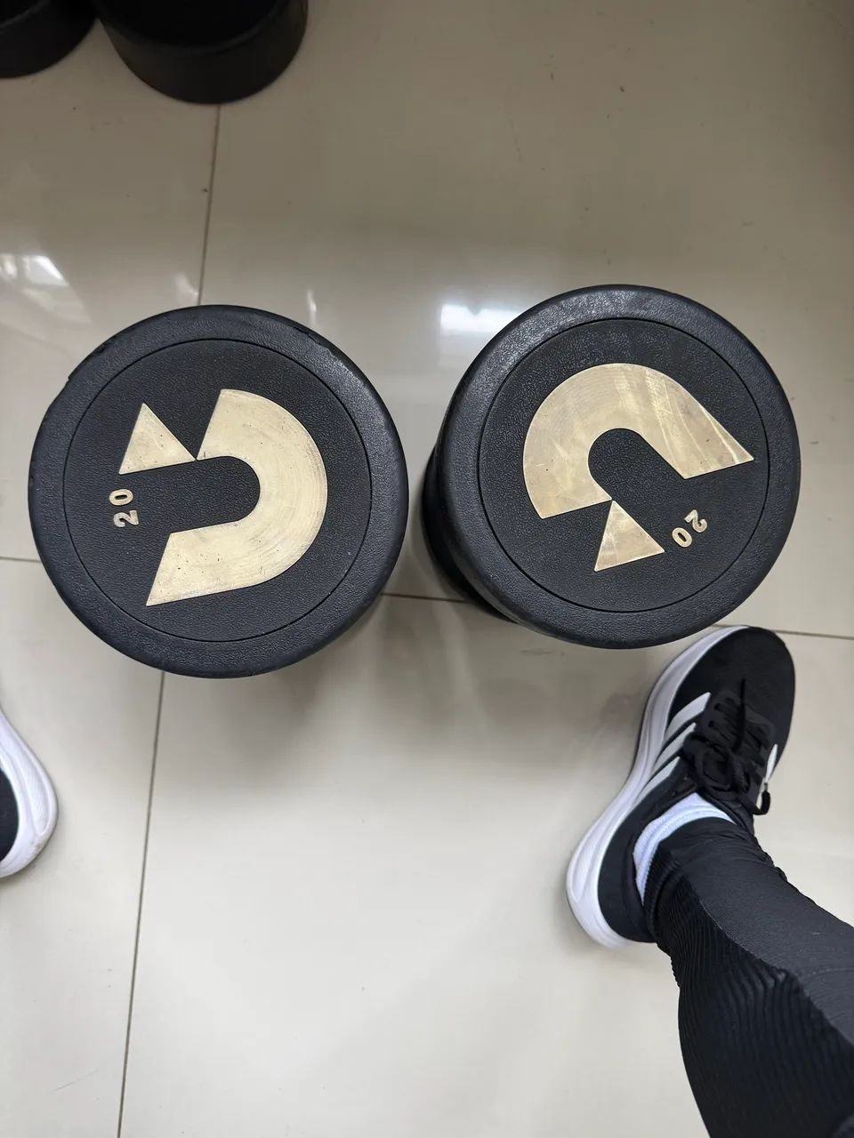 Par de Dumbell 20kg 