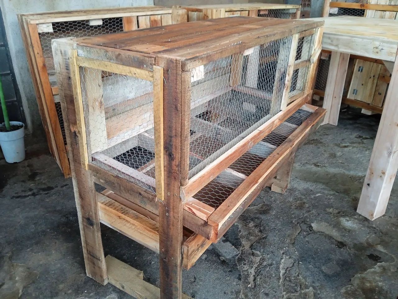Viveiro para codornas  - Foto 2