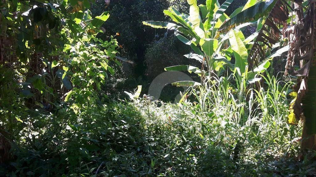 Ótimo Sítio com Imenso Terreno em Várzea das moças, - Foto 4