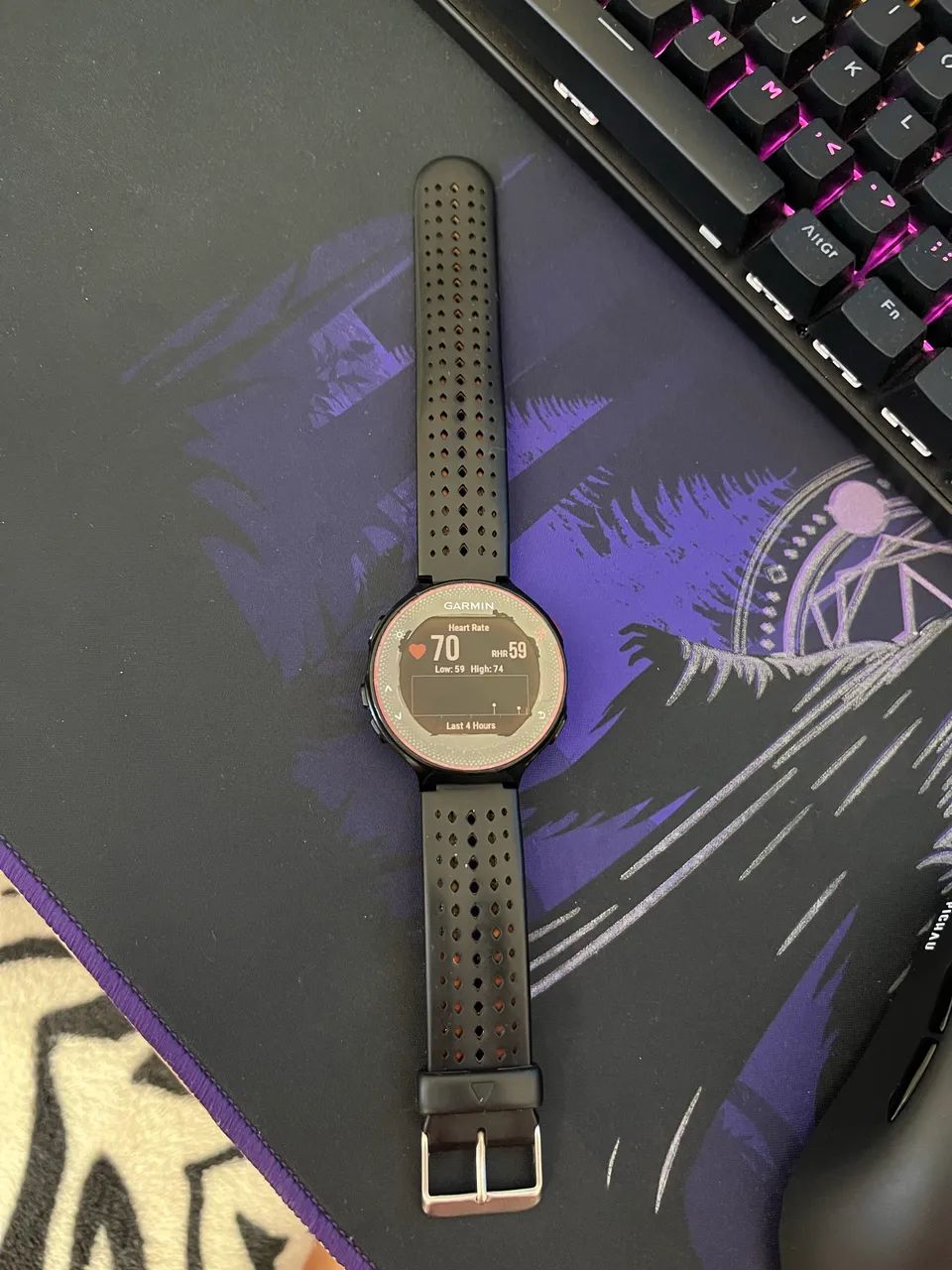 Garmin 235  - Foto 2