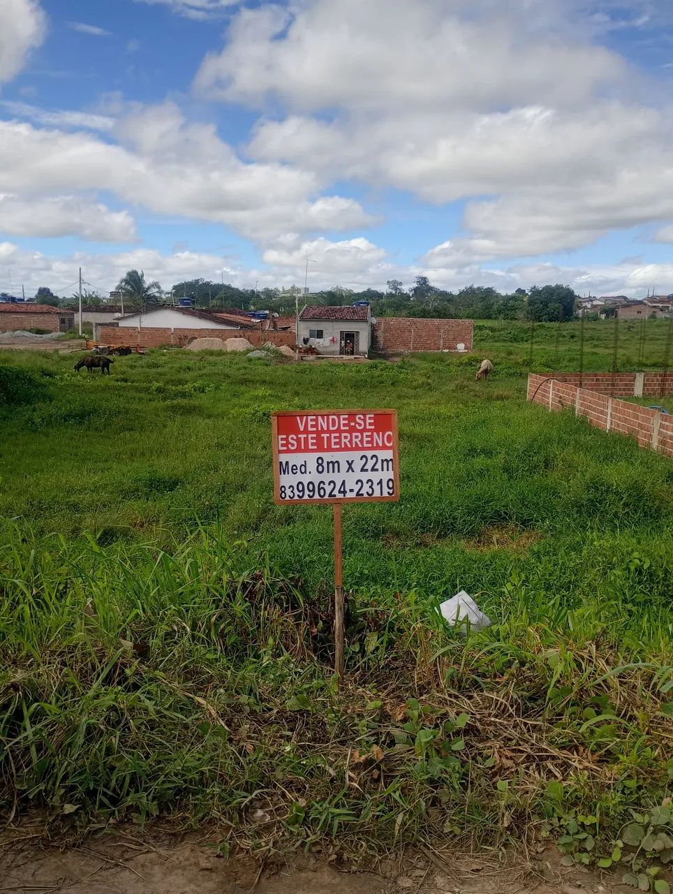 Terreno comercial pronto para construir - Foto 3