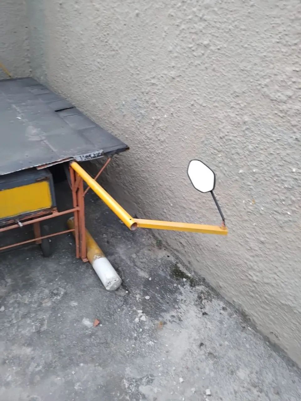 Burrinho Sem Rabo