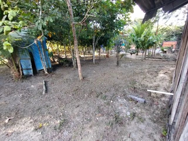 VENDE SE SITIO RIO PRETO DA EVA  - Foto 4