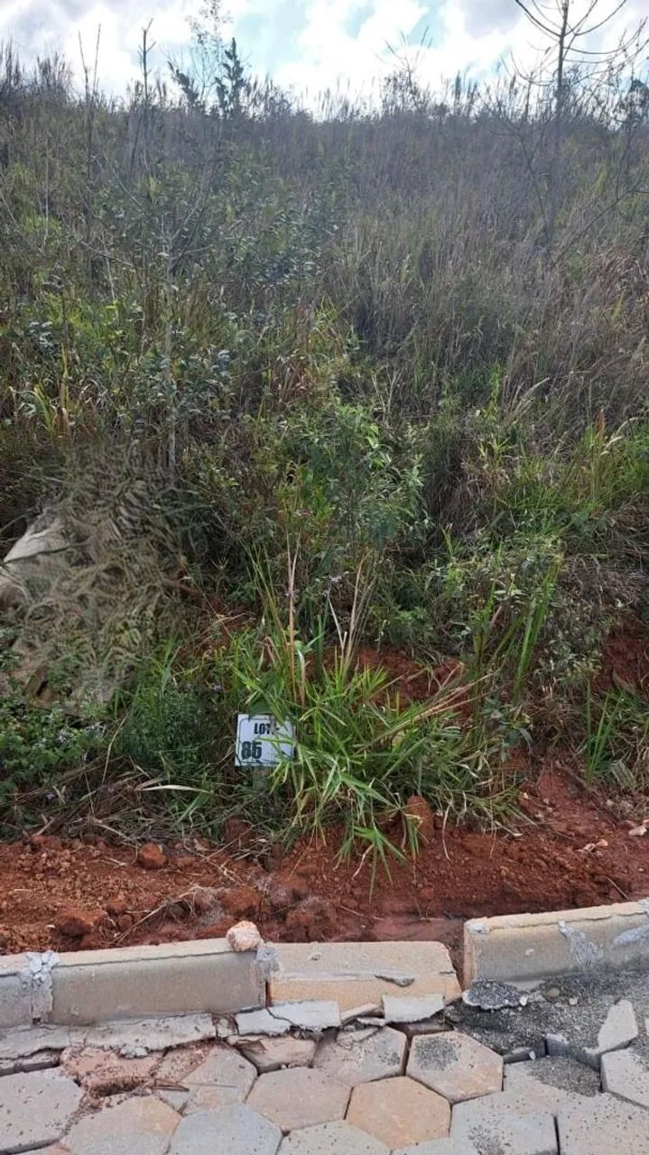 Lote / Terreno - Igrejinha - Foto 3