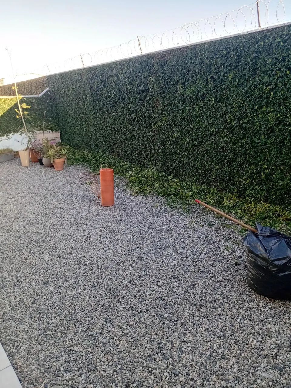 Jardinagem em geral - Foto 4