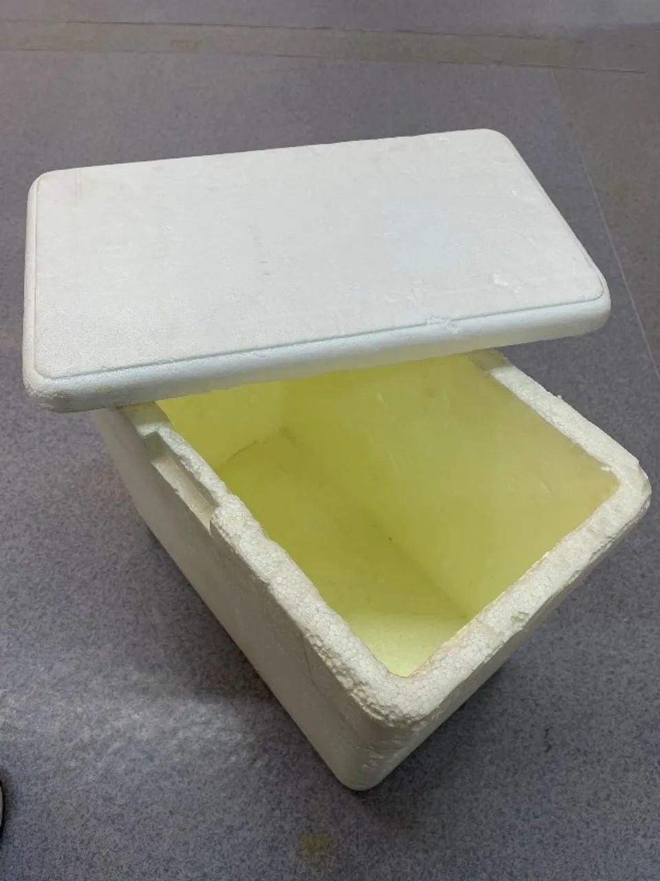 Caixa de isopor - Foto 4