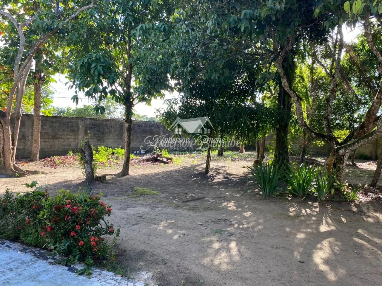 Chácara com 5.000 m² em Aldeia km 12 - Foto 4