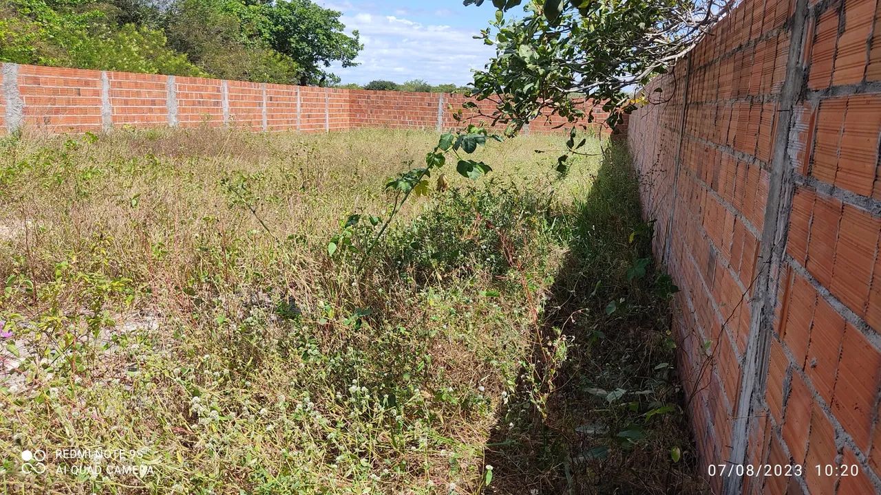 Terreno Muriti Paracuru  - Foto 5